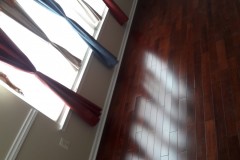 20170216_112941-Copy